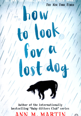 How to Look for a Lost Dog